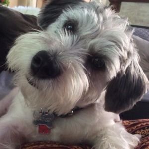 Meet your Posher, Renee